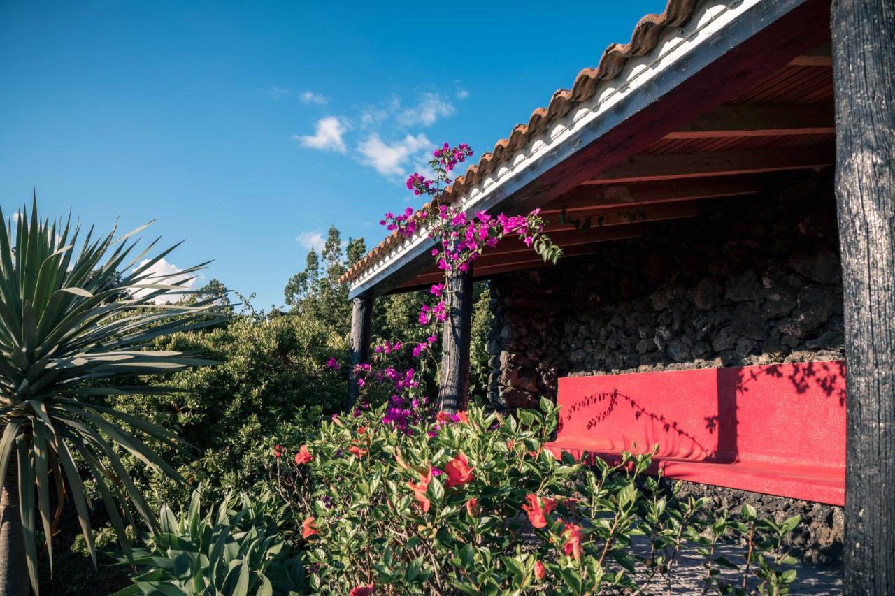 Atlantic Heritage Luxury Villa Madalena  Extérieur photo